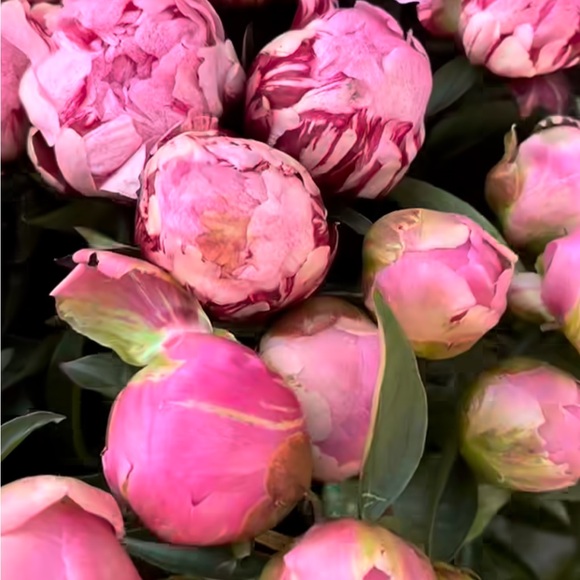 EVERYTHING must go! - Picture 2 of 2